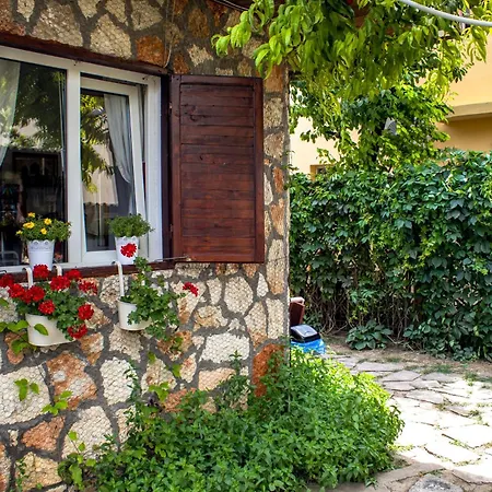 Bohemian Spirit, * 旧瓦马