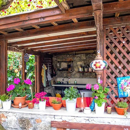 Homestay Bohemian Spirit, *