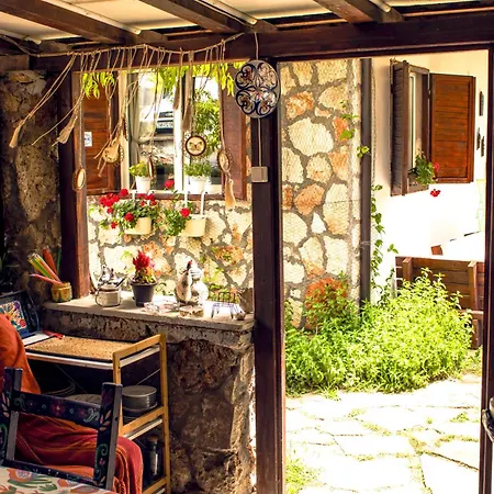 Bohemian Spirit, Vama Veche