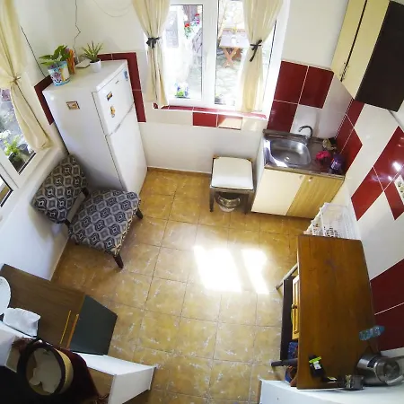 Bohemian Spirit, Homestay